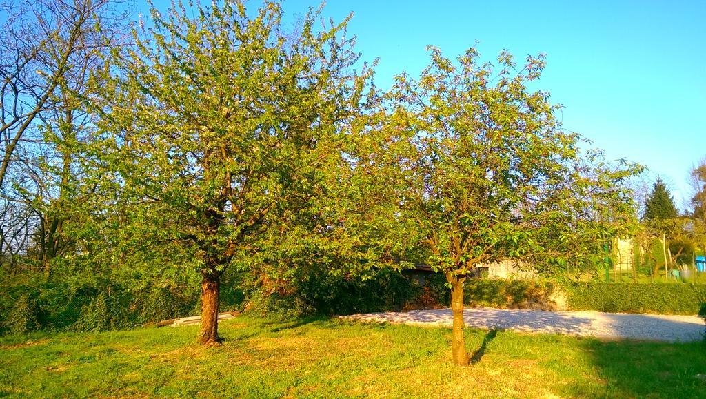 B&B Vinago Belvedere Mornago Zewnętrze zdjęcie